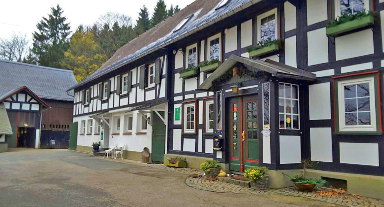 ヴィンターベルク Berghof Schmitteゲストハウス エクステリア 写真