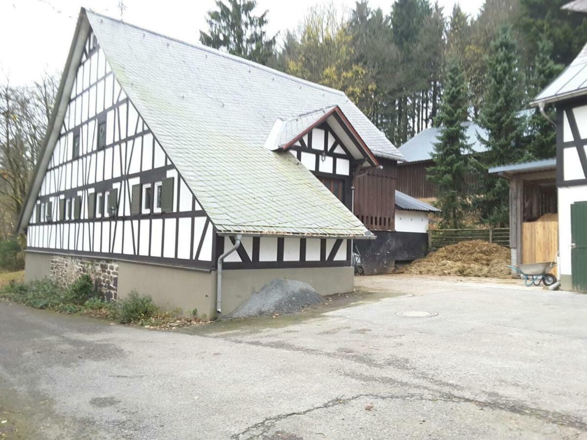 ヴィンターベルク Berghof Schmitteゲストハウス エクステリア 写真
